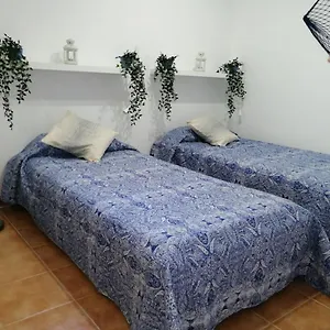 https://estudio-vista-rubicon.in-canary-islands.com